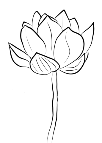 Lotus Blossom Coloring Page